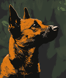 Canaan Dog