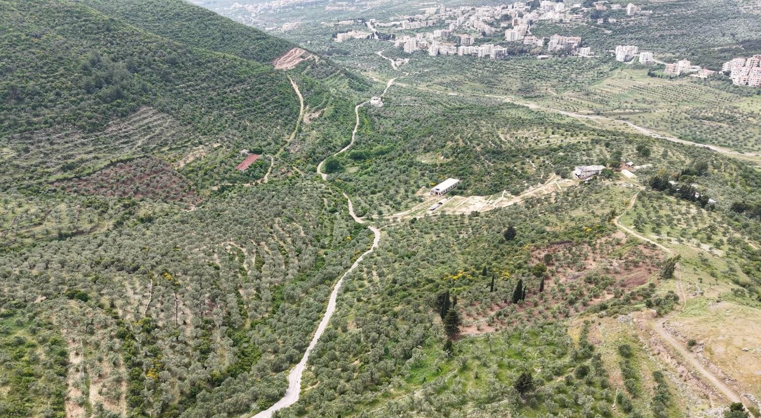الخروج الأخير .. “لغز” اختفاء نساء وأطفال من بلدة الحصن في سوريا بعد حصار مميت