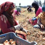 تحذير أممي .. التصعيد العسكري في الشرق الأوسط قد يدفع أكثر من 30 مليون شخص إلى الفقر عالميا