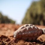 مقتل شابة بانفجار من مخلفات الحرب في درعا يرفع حصيلة الضحايا المدنيين