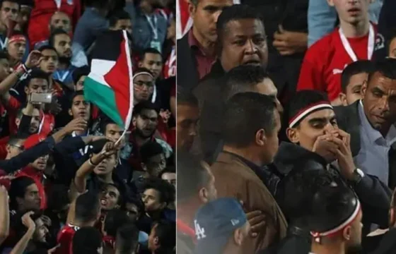 مصر تلاحق متضامنين مع غزة.. ومبادرة تطالب بالإفراج عنهم